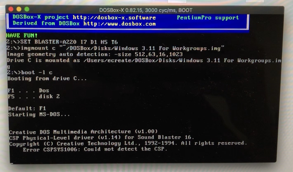 Windows 3.11 abandonware
